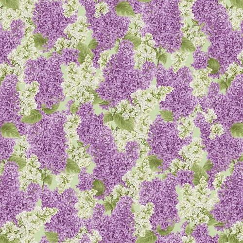 Bloomerang Lilacs 954-56