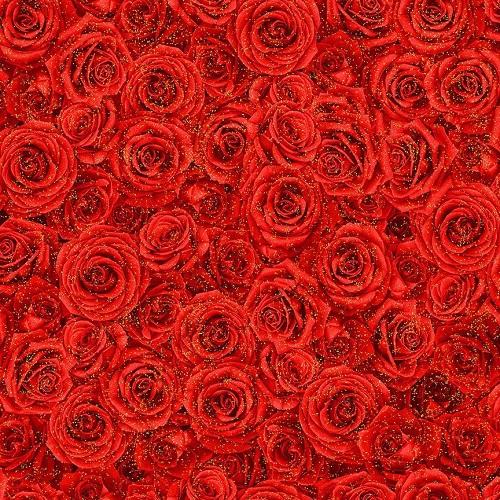 Winter Rose CM2893-Red