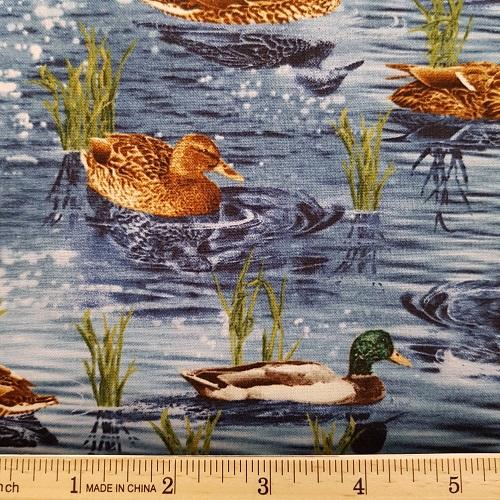 Gone Fishing C 6406 Pond – Appleseed Quiltworks