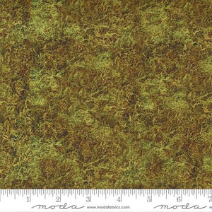 Outdoorsy - Dried Moss 57388-17