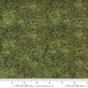 Outdoorsy - Forest Moss 57388-18
